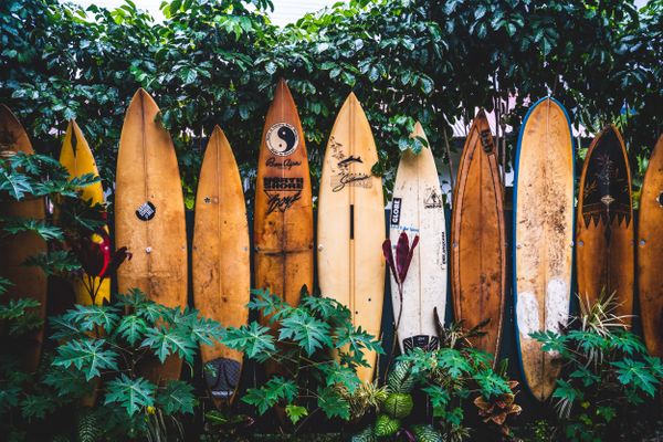 Surf é o pai dos esportes radicais